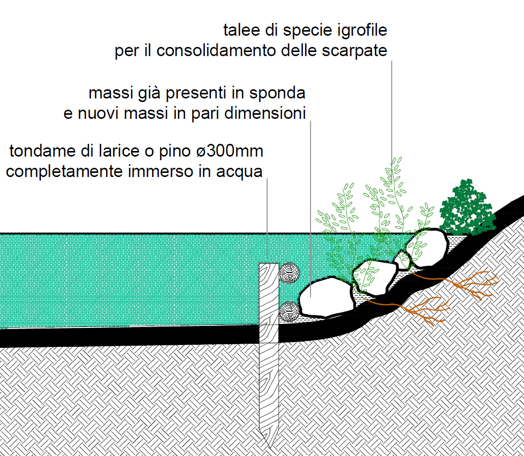 Recupero area naturale Cà Vagnetto