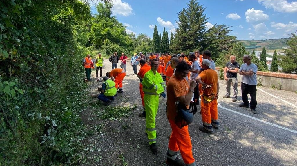 Un corso per l’utilizzo in sicurezza dei macchinari per il personale addetto alla manutenzione del verde pubblico sammarinese